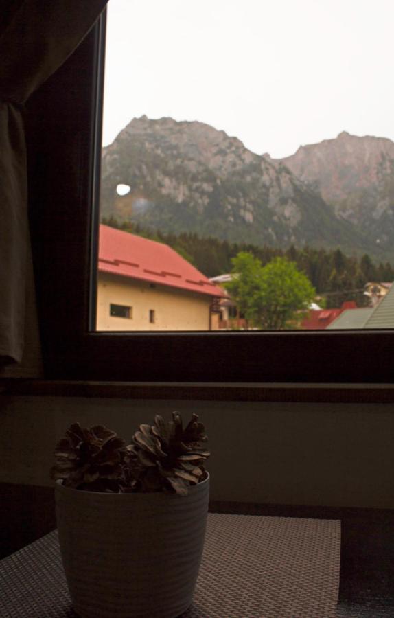 Apartament Mountain Life Buşteni Exteriör bild