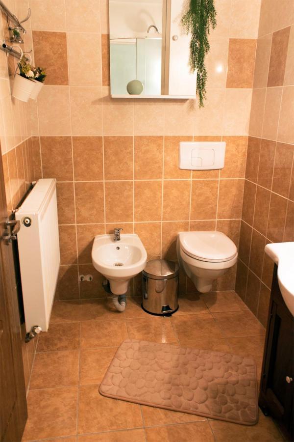 Apartament Mountain Life Buşteni Exteriör bild
